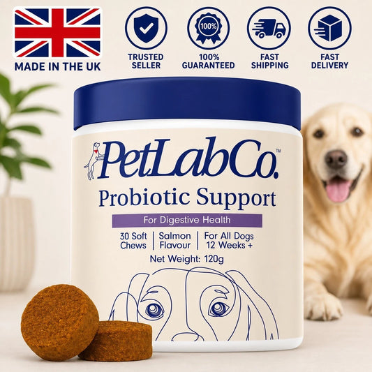 PetLab Co. Probiotic Support Soft Chews for Dogs | Digestive & Gut Health Supplement | Salmon Flavour | 30 Soft Chews | 120g