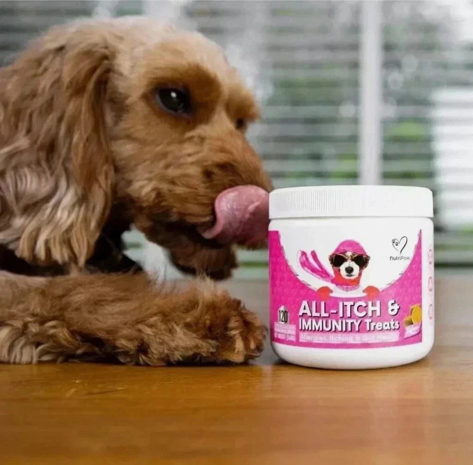 NutriPaw All-Itch & Immunity Dog Treats – Skin & Coat Support Chews – 120 Soft Chews (300g)